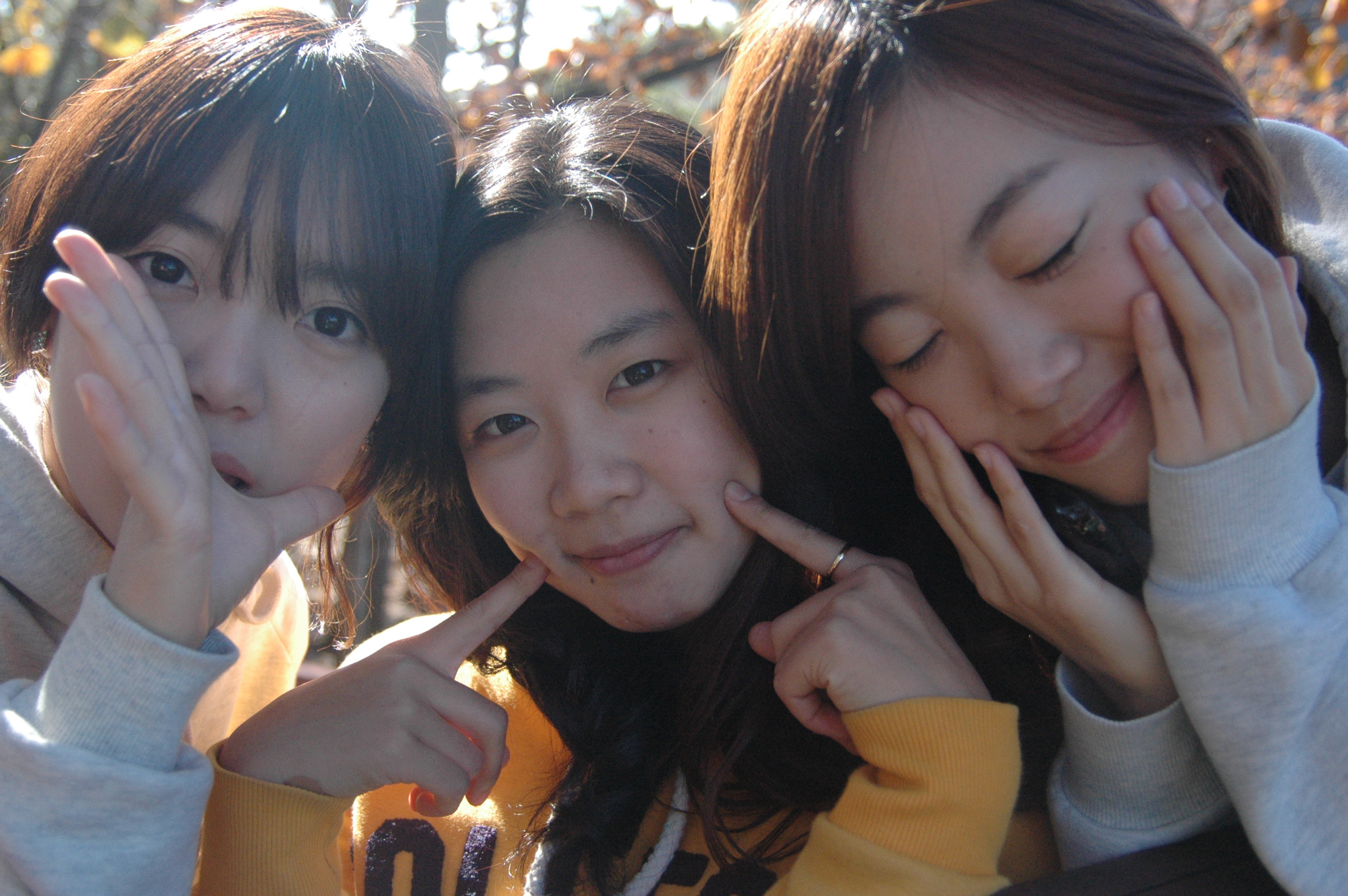168442943_57edee7a_DSC_6519.JPG